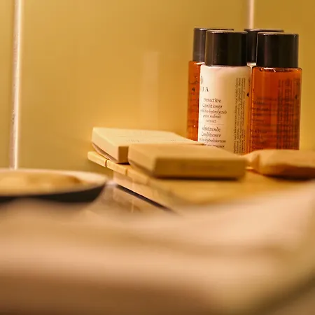 萨菲尔酒店 4* 塞扎纳